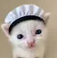 Ariのプロフィール画像