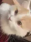 はるたんのプロフィール画像