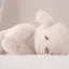はむこ🕊のプロフィール画像