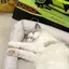 ramのプロフィール画像