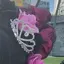 しなこのプロフィール画像