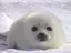 ずぅのプロフィール画像