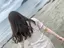 Chikaのプロフィール画像