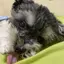 k.aのプロフィール画像