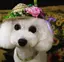 HEROMIのプロフィール画像