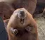 Aのプロフィール画像