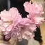 ゆぴのプロフィール画像