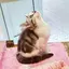 みよりのプロフィール画像
