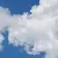 maiのプロフィール画像