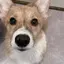 たなかのプロフィール画像