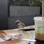 m12のプロフィール画像