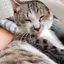 しぃのプロフィール画像