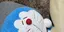 まさちゃんのプロフィール画像