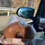 かめきちのプロフィール画像