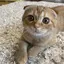 みさとのプロフィール画像