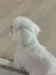 ゆきなのプロフィール画像