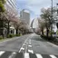 まきのプロフィール画像