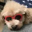 ゆかちんのプロフィール画像