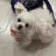 なーのプロフィール画像