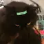 leonorchangのプロフィール画像