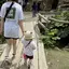 風花のプロフィール画像