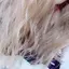 まぁたんのプロフィール画像