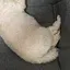 ものプロフィール画像