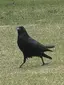 天規のプロフィール画像