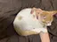 綺奈のプロフィール画像