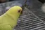もんのプロフィール画像
