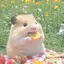 にょーんのプロフィール画像