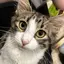 まどかのプロフィール画像