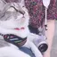 てぃものプロフィール画像