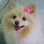 nanaのプロフィール画像
