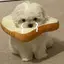 みるのプロフィール画像