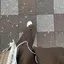 Mのプロフィール画像