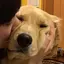 ばいなのプロフィール画像