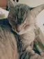 katsuraのプロフィール画像