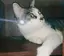 Mie Zのプロフィール画像