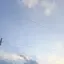 ✩ 彡 ⋆꙳のプロフィール画像