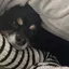 音羽のプロフィール画像