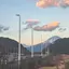 咲希のプロフィール画像