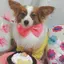 NiKa♡のプロフィール画像