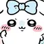 ここちゃんのプロフィール画像