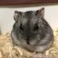 るいるいのプロフィール画像