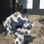 ぽぽのプロフィール画像