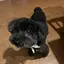Kazutanのプロフィール画像
