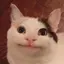 Aのプロフィール画像