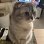 しゅんのプロフィール画像