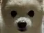 モモタロスのプロフィール画像